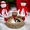 Christmas style Dog Nest