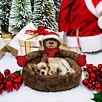 Christmas style Dog Nest