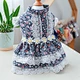 Dogs  Luxurious Wedding Princess Dress