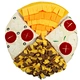 alive pet toys
