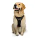 Collar para mascotas con banda reflectante