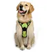 Collar para mascotas con banda reflectante