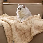 Dog Blanket