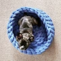 Pet Bed