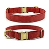 Leather dog collar