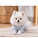 Pet Home Wear Outfit Clothing