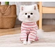 Pet Home Wear Outfit Clothing