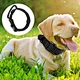 Dog Stong Nylon Collar