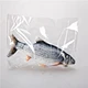pets toy