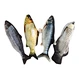 pocket pets toys