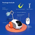 Cat Remote Control Chasing Mice Toy
