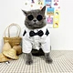 Pet Wedding Clothes