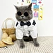 Pet Wedding Clothes