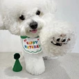 Dog Party Birthday