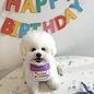 Dog Party Birthday