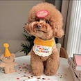 Dog Party Birthday