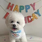 Dog Party Birthday