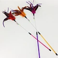 Cat Teaser Fishing Rod