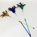 Cat Teaser Fishing Rod