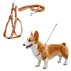 Nylon Pet Leashes Lead Harness