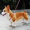 Nylon Pet Leashes Lead Harness