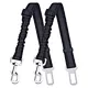 custom dog leashes