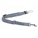 dog body leash