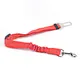 dog collar and leash sets