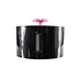 Automatic Pet Bowl