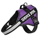 Dog Harness Vest