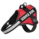 Dog Harness Vest