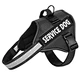 Dog Harness Vest