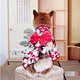 Dog Japanese Style Dress