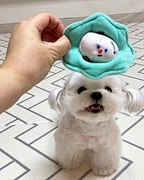 Pearl Shell Toy Set For Dog
