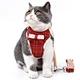 Dog Harness Leash Set With Bowknot
