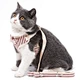 Dog Harness Leash Set With Bowknot