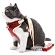 Dog Harness Leash Set With Bowknot