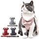 Dog Harness Leash Set With Bowknot
