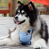 Dog Belly Cover