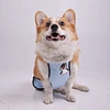 Dog Belly Cover