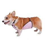 Dog Belly Cover