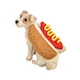 Dog Sausage Clothes