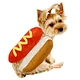Dog Sausage Clothes