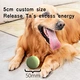 Dog Training Ball Launcher Toy