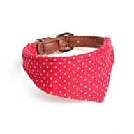 Dot Printing Dog Collar