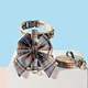 Dog Harness Leash Set