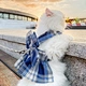Dog Harness Leash Set