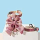 Dog Harness Leash Set
