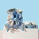 Dog Harness Leash Set