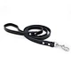 walmart leashes for dogs